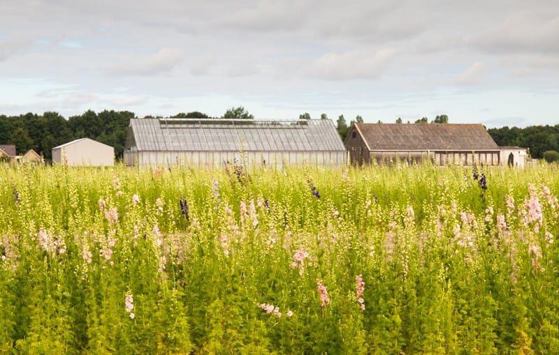 Bestemmingswijziging levert belastbare winst op